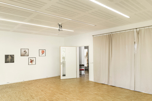  Foto: Hans Joachim Krumnow 