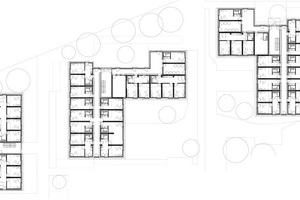  Grundrisse und Anordnung der Wohnhäuser zueinander  Quelle: LiWood 