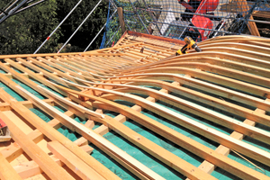  Ein Blick vom First auf die Hechtgaube, deren wellenförmige Wangen mit biegbaren Tragleisten modelliert werden Foto: Erlus  