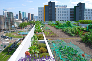  Urban Farming: Obst und Gemüse mitten in Rotterdam Foto: Optigrün 