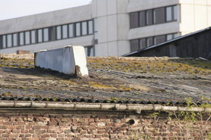  Durch mangelhafte Pflege bemoostes und falsch ausgebessertes Dach mit Wellasbestplatten 