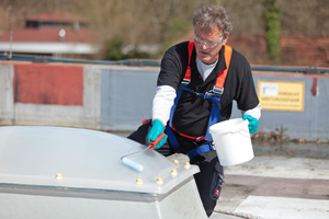  Die Beschichtung wird zunächst auf die vorbereitete Lichtkuppel aufgebracht 