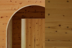  Holzbauelement Holz 100 im Detail<br /> 