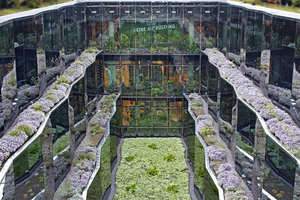  Auf dem Dach des Erdgeschosses liegt der bepflanzte InnenhofFoto: Harderstorfer/Optigrün 
