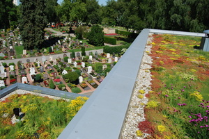  Die extensive Dachbegrünung in voller BlütenprachtFoto: Optigrün 