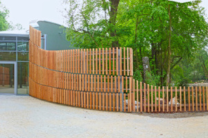  Zugangsbereich mit Stahl-Unterkonstruktion: Als vereinheitlichendes Stilelement werden die Holzlamellen der Gebäudeverkleidung als Zaun um das ganze Areal der Giraffensavanne herum fortgeführt 