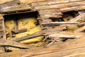  Schadensfall Flachdach in Holzbauweise – eine total verfaulte konstruktive Ebene gibt oft Rätsel auf  Foto: Wolfin  