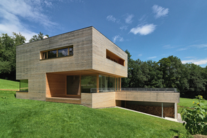  Preisträger Wohnbau Einfamilienhaus: Haus Bertsch in Frastanz 