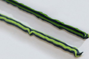  Vario XtraFit wechselt die Farbe: Die dauer-elastische Zwei-in-eins-Klebe-Dichtmasse zeigt durch einen Farbwechsel von hellgrün zu dunkelgrün die Durchtrocknung an 